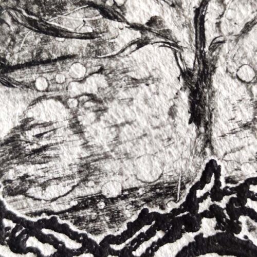 Deux arbres – Image 2
