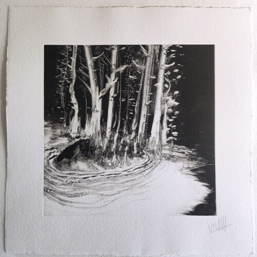 Forêts noires 24
